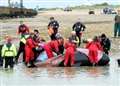 Mock mass stranding of whales being staged at Burghead