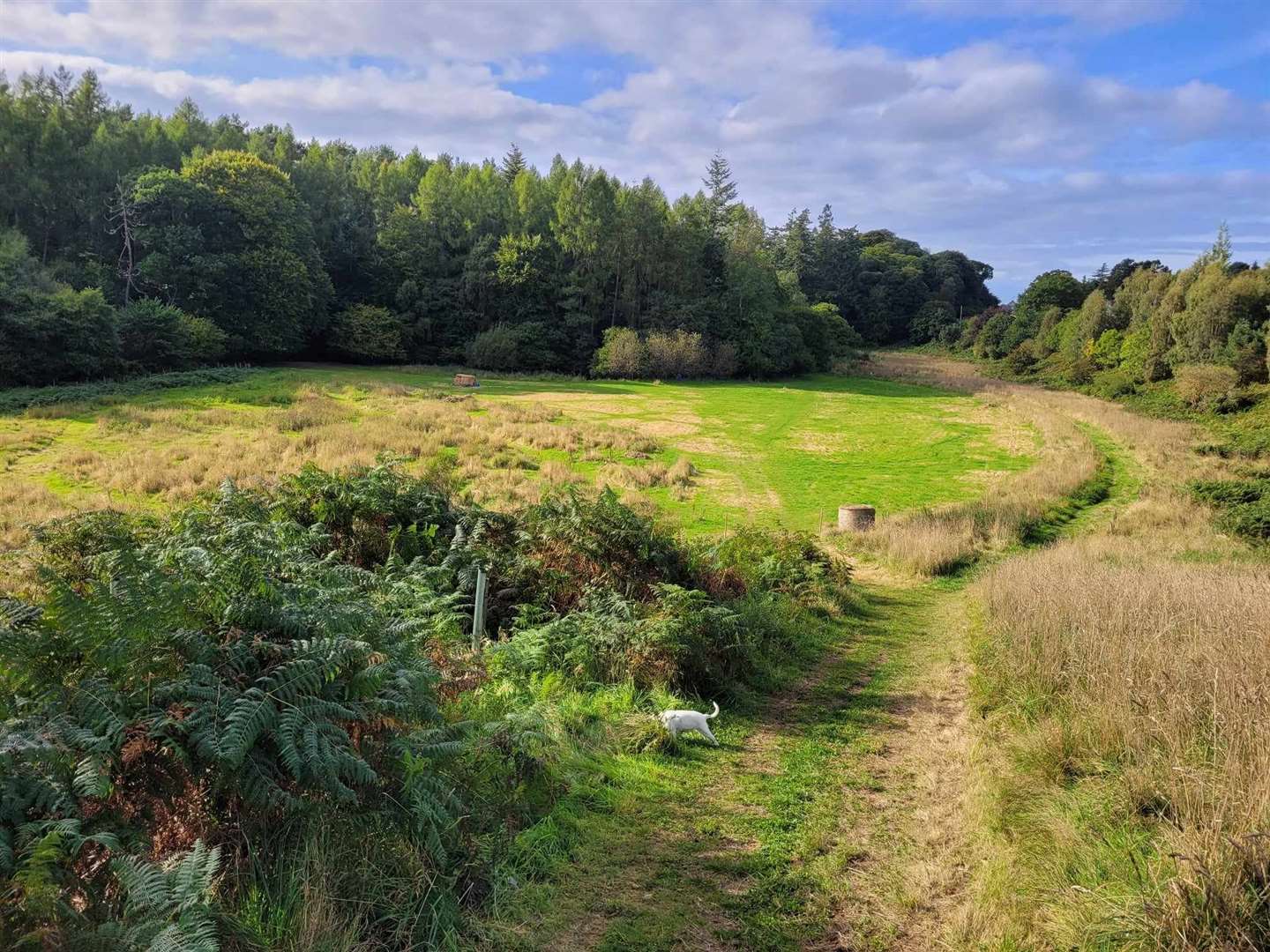 Forres Friends of Woods and Fields' land at Sanquhar.