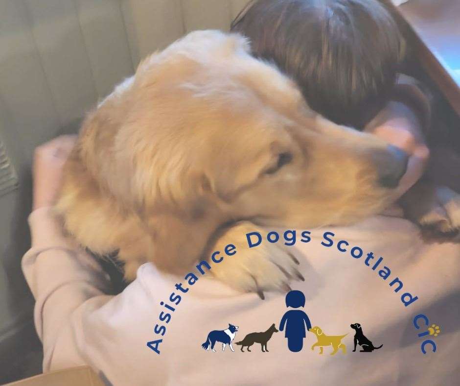 Assistance Dogs Scotland are on the lookout for volunteer puppy socialisers.