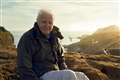 No sixth episode for Sir David Attenborough’s Wild Isles, BBC says
