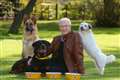 Paul O’Grady a ‘champion for the underdog’ – Battersea Dogs and Cats Home