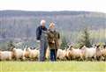 Sheep farmers invited to Ballindalloch Farm meeting