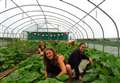 Free course in Moray to learn about sustainable food