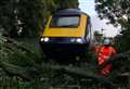 Disruption on Inverness to Aberdeen train line due to fallen tree