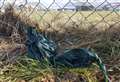 Poo bag pictures wanted by watchdog