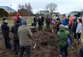 Forty volunteers plant new community orchard