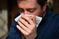 Common cold helps combat flu, research suggests