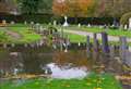 Cemetery flood site being investigated
