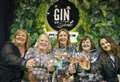 Let the fun be-gin as top gin festival set to head for north-east