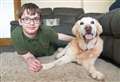 Forres family reunited with 17-year-old Labrador Bonnie