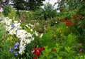 Moray 'Pollinator’s Paradise' garden to welcome visitors