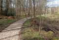Trust improves paths in woods