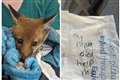Orphaned fox cub abandoned on roadside with ‘help me’ note
