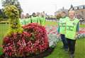 Best medium town honour and gold medal for Forres in Bloom