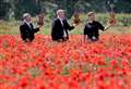 POPPIES PRIDE AND PEACE: Can we learn the lessons of the past to bring a peaceful future?