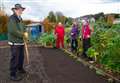 Allotments have grown a community