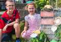 Budding junior gardeners invited to take up pocket garden challenge