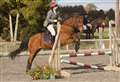 Sunshine blesses the show jumping at Mundole equestrian centre