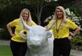 Heilan coo to raise funds in Grant Park