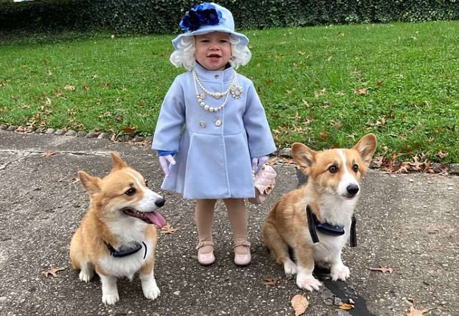 Toddler Jalayne Sutherland posing alongside her pet corgis at home in Ohio, USA last year - her family sent Her Majesty a picture and received an official letter of thanks in return. Picture: Katelyn Sutherland/BPM Media