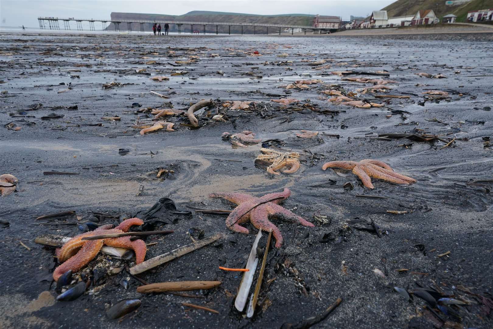 Large deposits of black debris could also be seen on the beach (Owen Humphreys/PA)