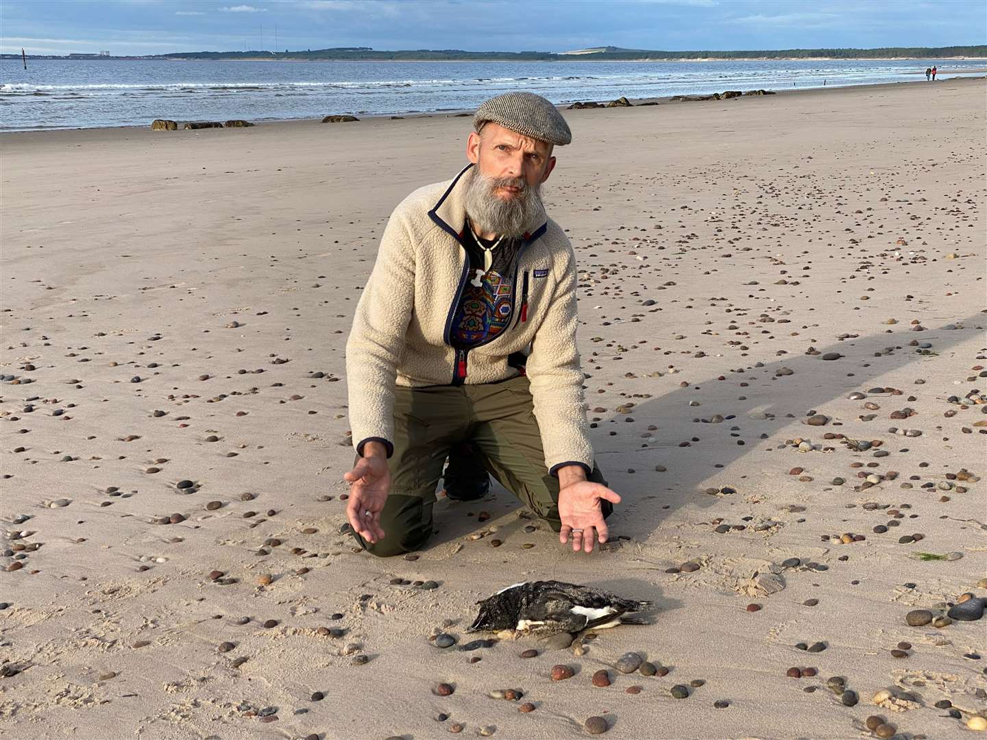 Cllr van der Horn found a dead Razorbill on Findhorn beach which could have succumbed to bird flu.