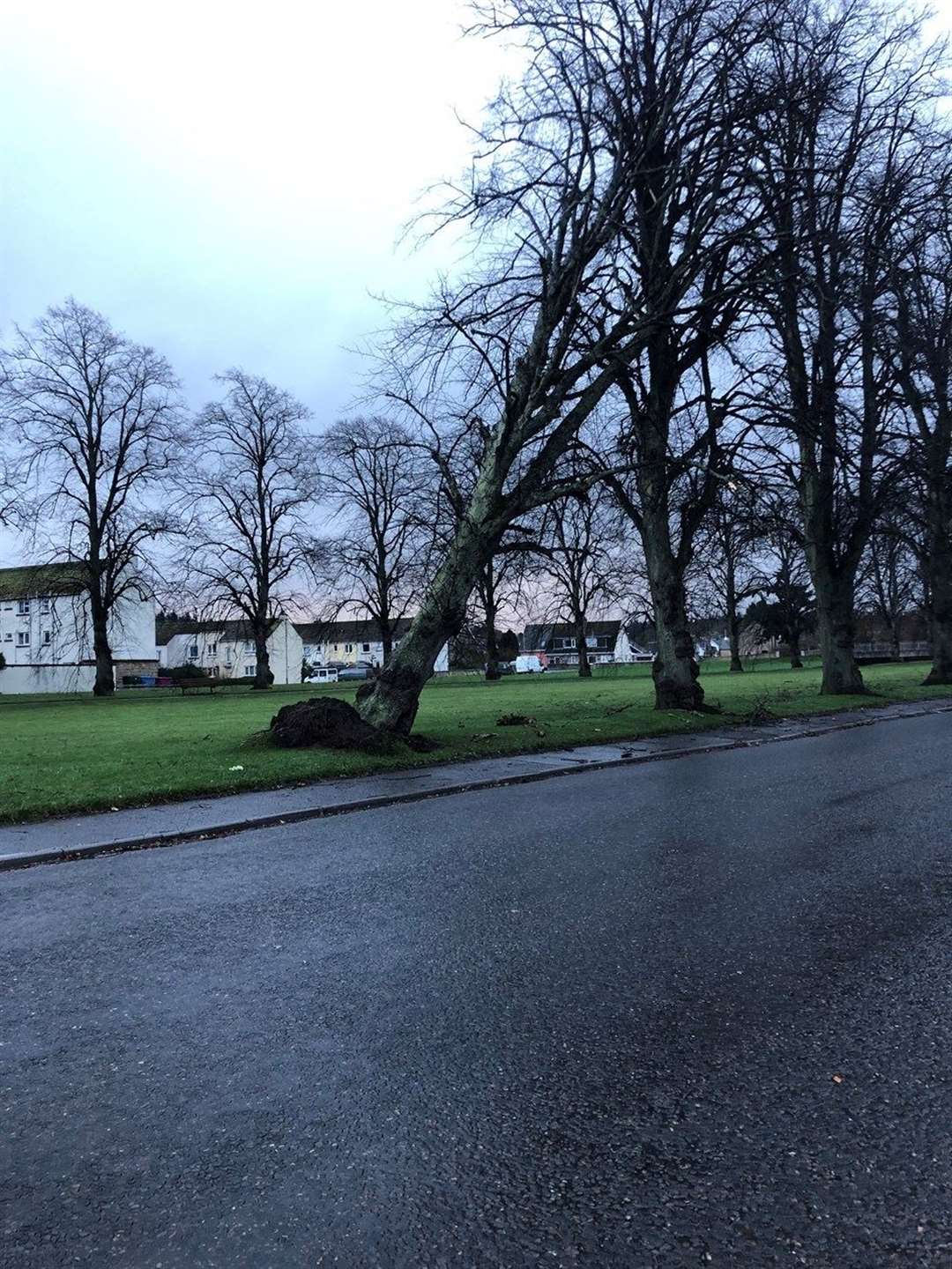 Damage in Forres following Storm Arwen last Friday. Image courtesy of Moray Council.