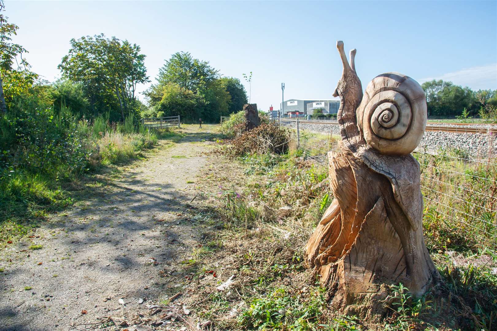 The first carving of a snail on the path alongside the A96.