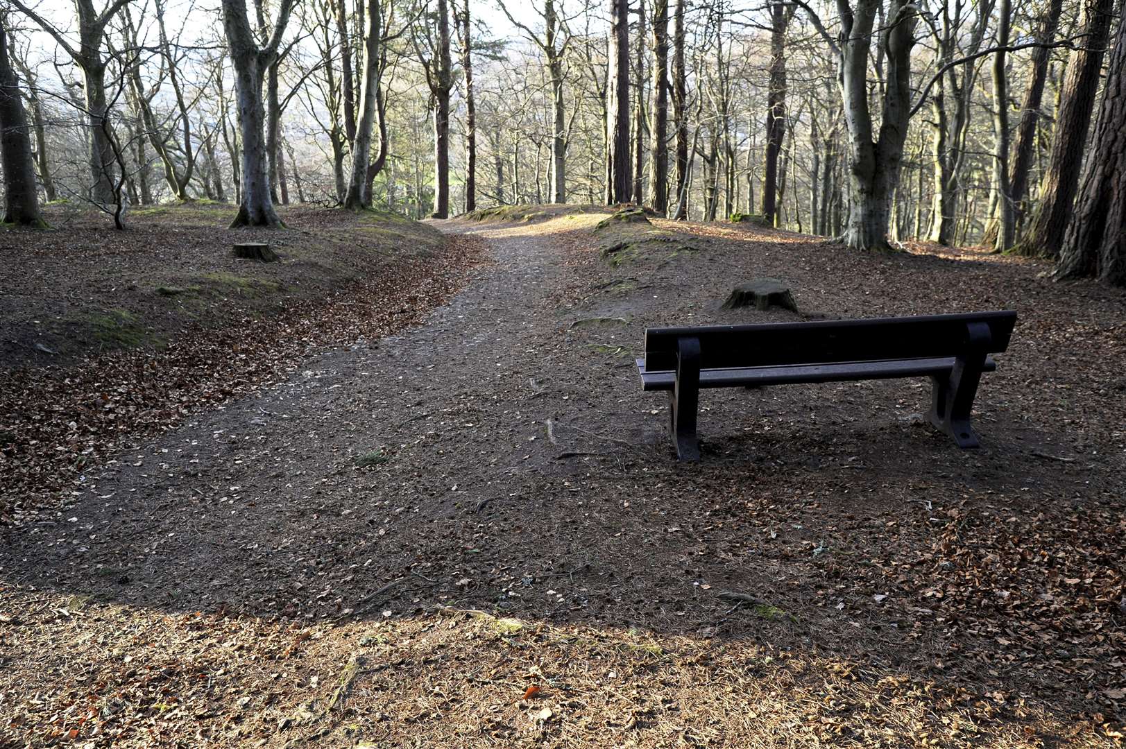 Forres Features have already installed five benches at Cluny Hill with 'Colours' profits.