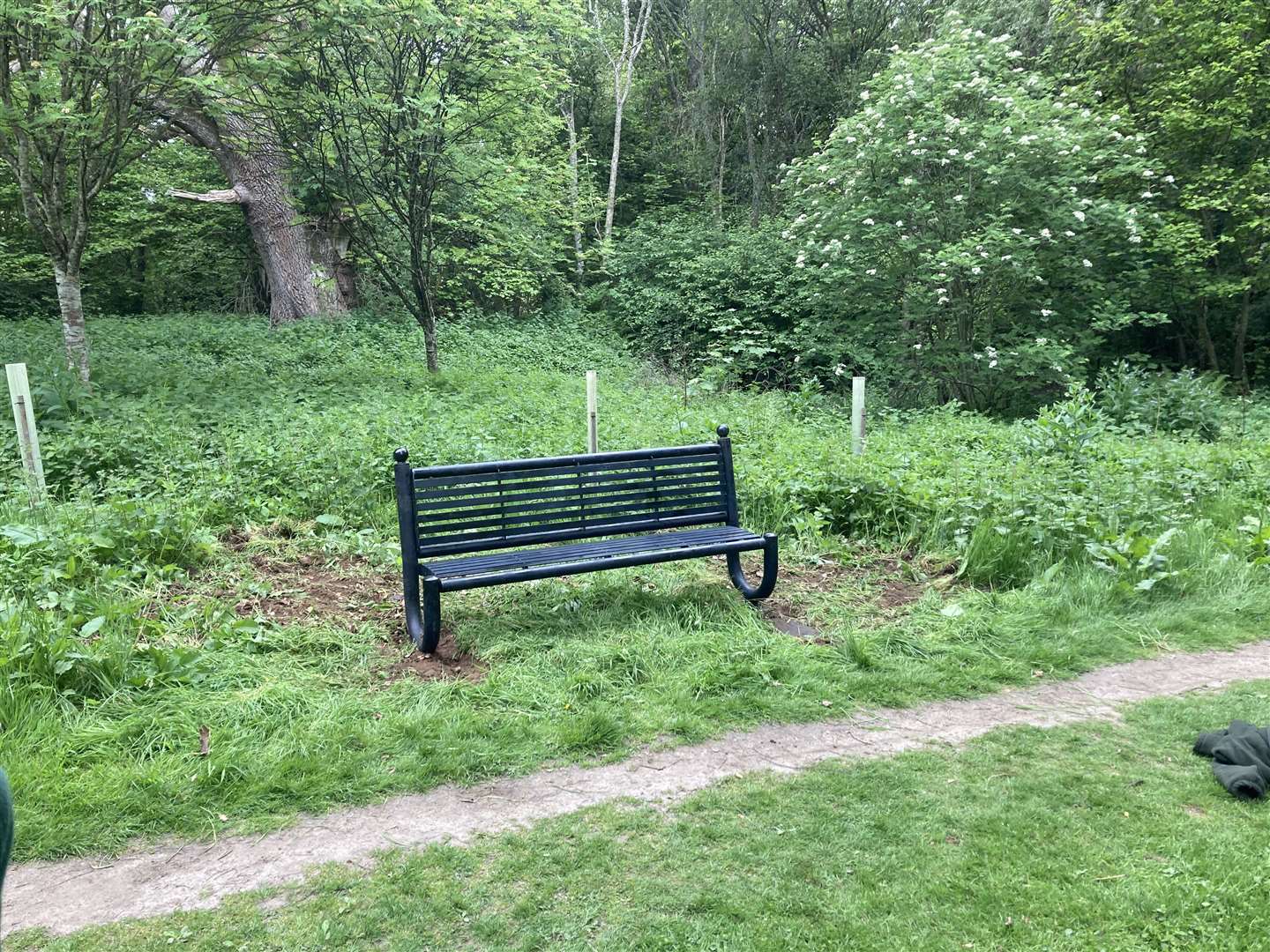 A bench off the path in the woods.