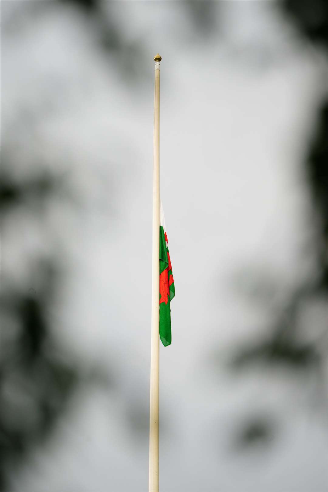 The Welsh flag is flown at half mast above the Government buildings in Cathays Park, in Cardiff Bay, Wales, following the announcement of the death of Queen Elizabeth II (Ben Birchall/PA)