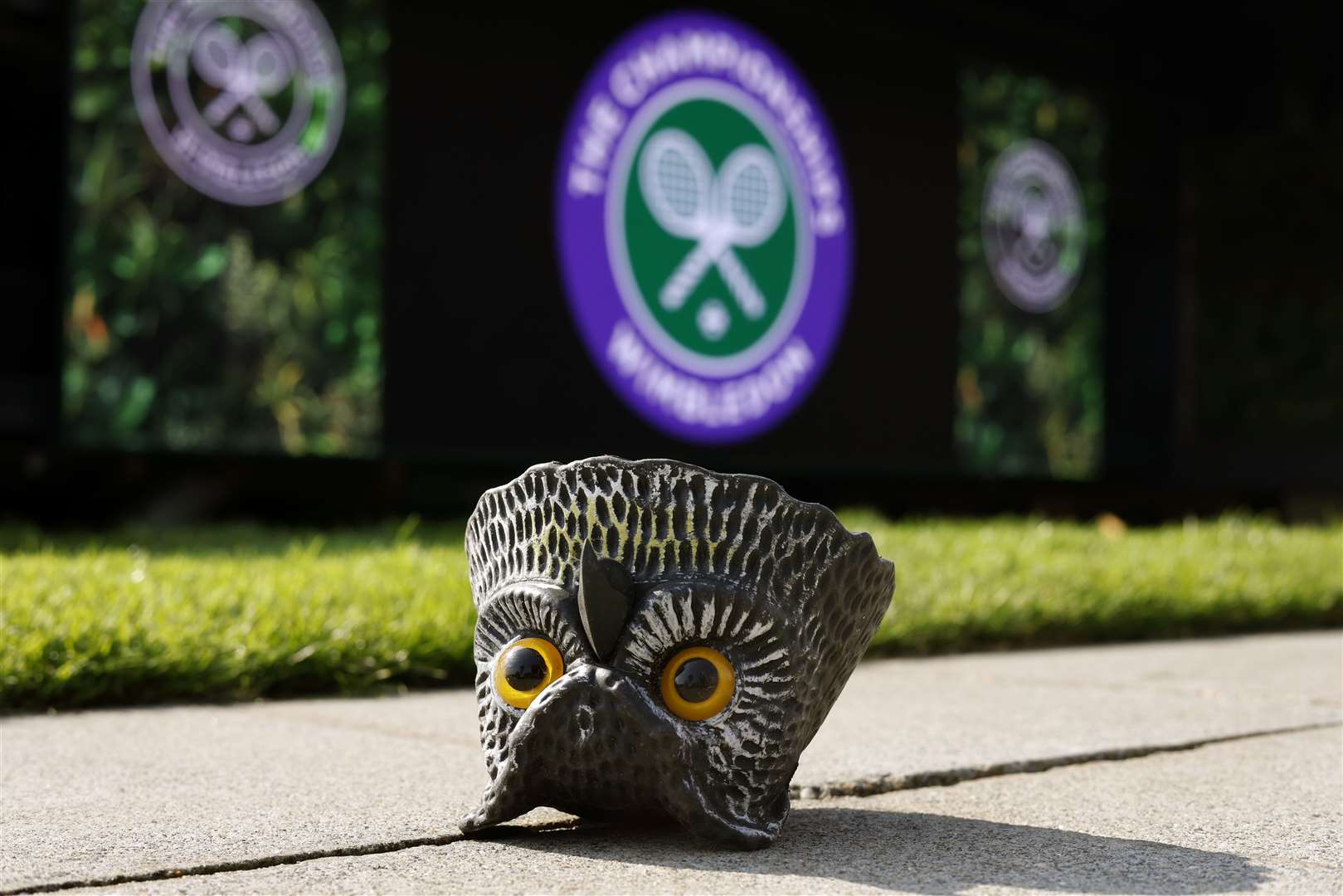 A deterrent owl device on the turf (Steven Paston/PA)