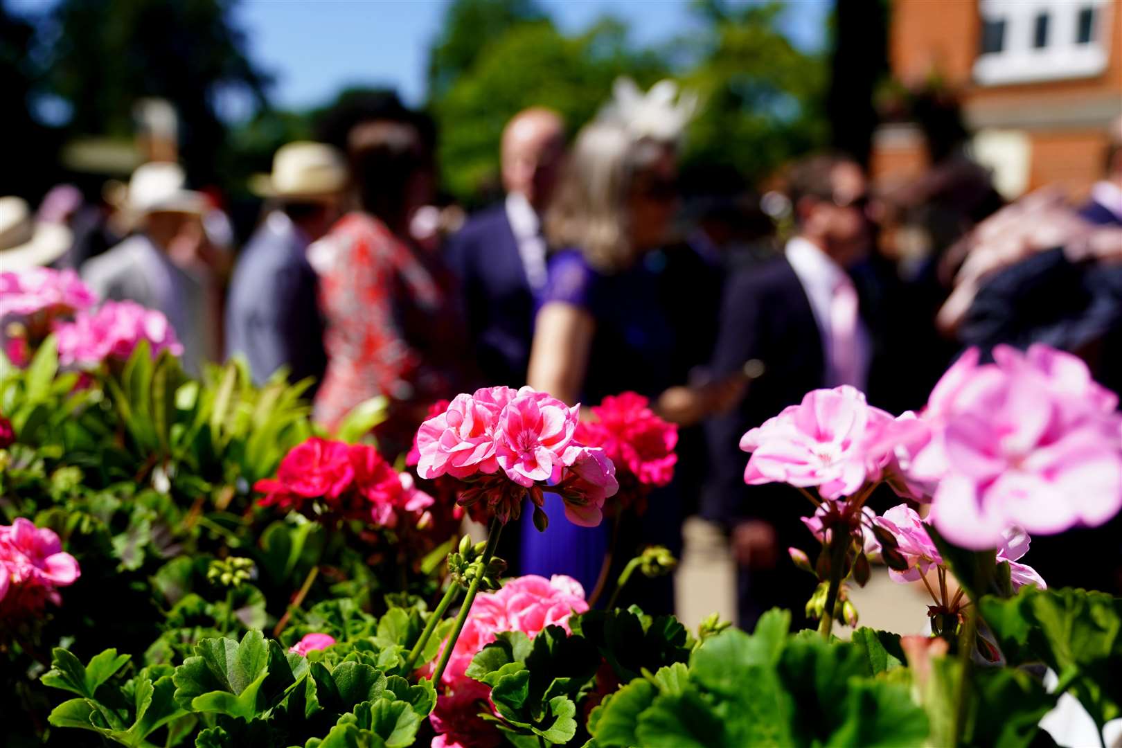 It was a beautiful sunny day for racegoers, with flowers in full bloom for the occasion (Adam Davy/PA)