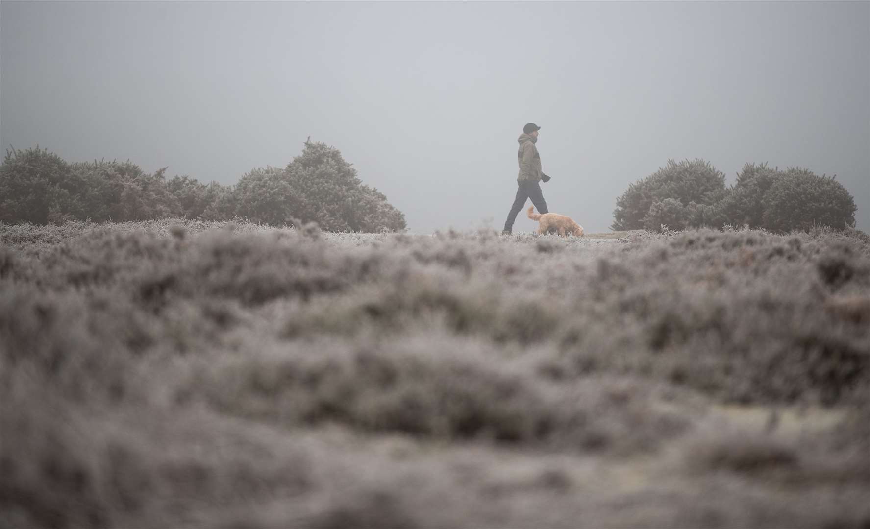 A dog walker makes their way along a frosty path at Rockford Common in the New Forest (Andrew Matthews/PA)