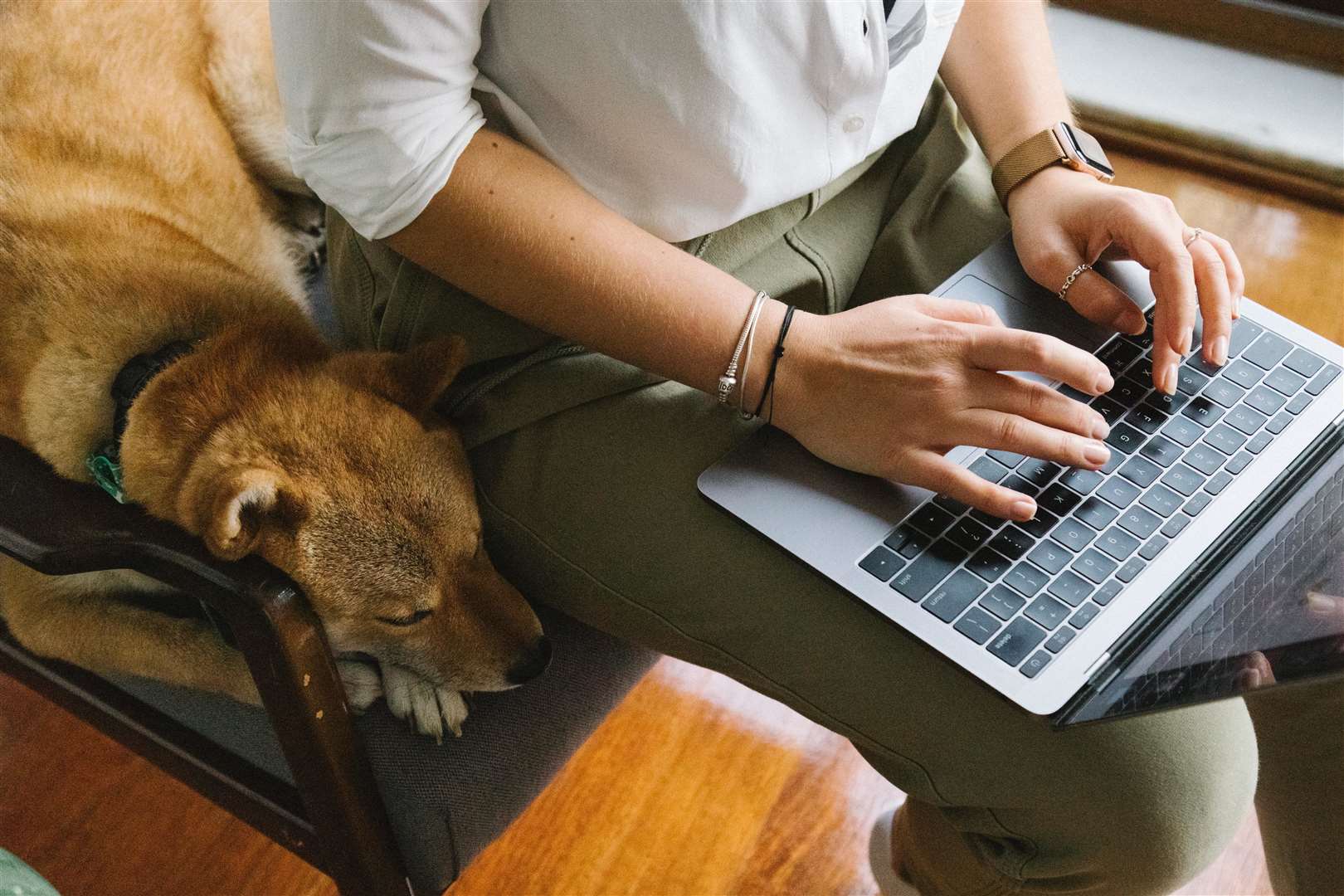 A survey found that nearly half of remote workers think dogs in the office is a good policy. Photo by Meruyert Gonullu from Pexels.