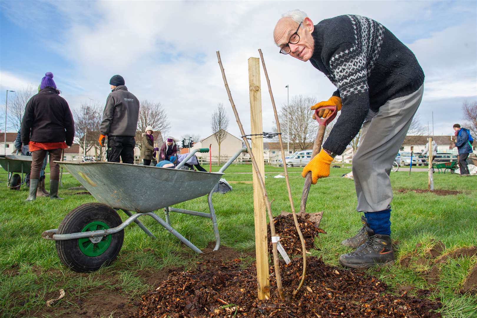 Norman Thomson helping to plant orchard trees at Mannachie park.