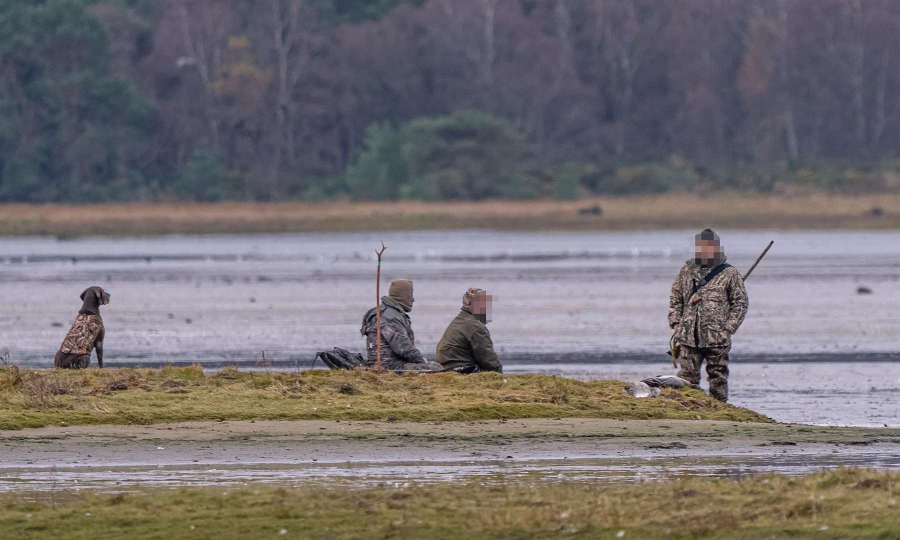 Wildfowlers at Findhorn Bay ignoring the protection advice.