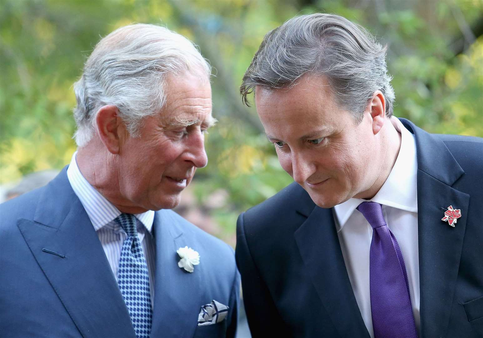 Charles chats with then prime minister David Cameron (PA)