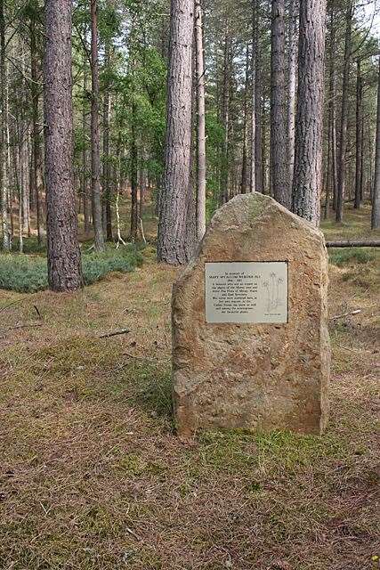 Find the monument to Mary McCallum Webster at Culbin.
