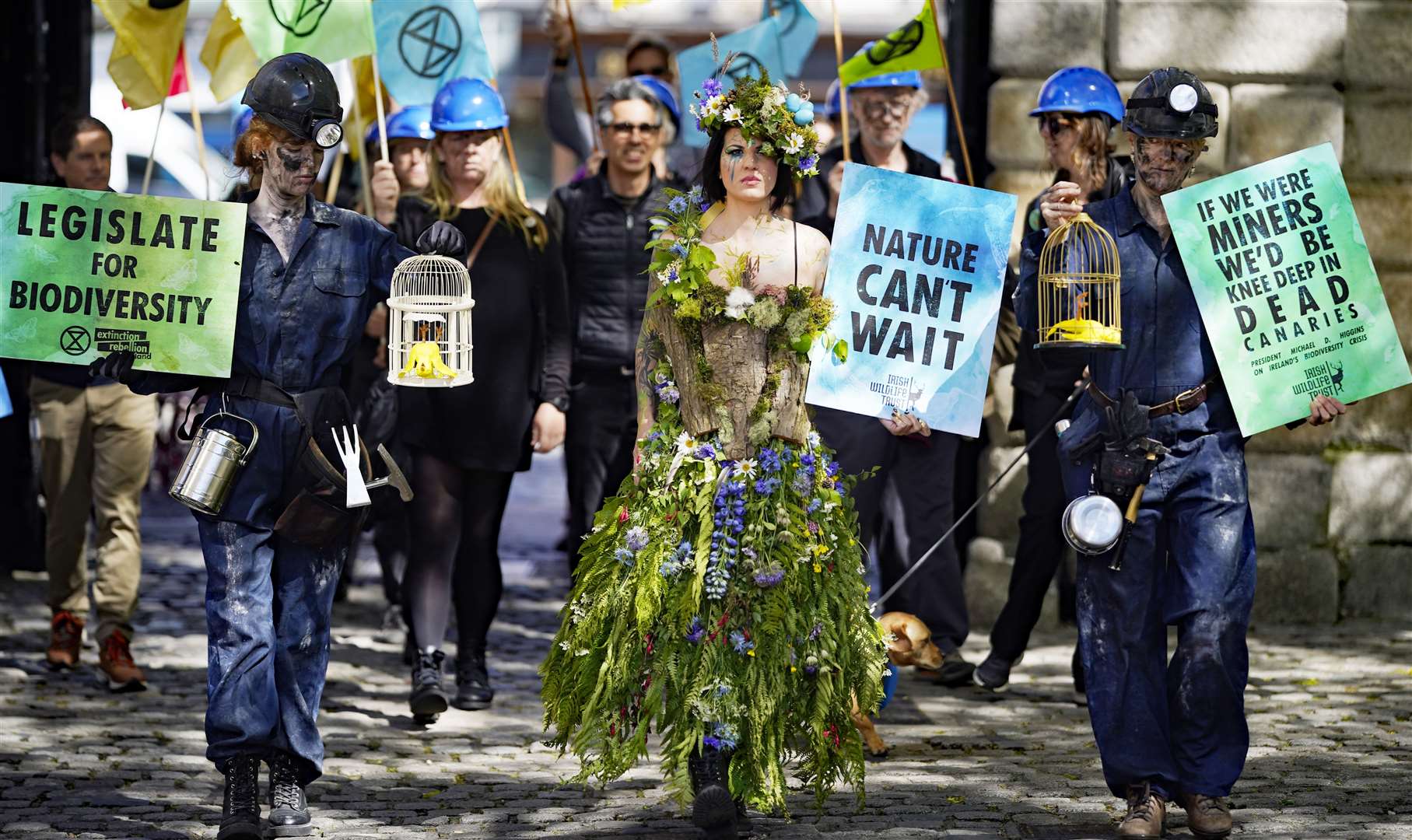 Environmental campaigners urge the Government to introduce legislation in the form of a Biodiversity Act during a protest outside the national biodiversity conference in Dublin Castle (Niall Carson/PA)