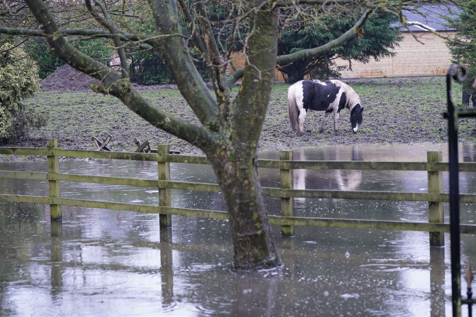 A horse stands next to floodwaters, near Watton, Yorkshire (Danny Lawson/PA)