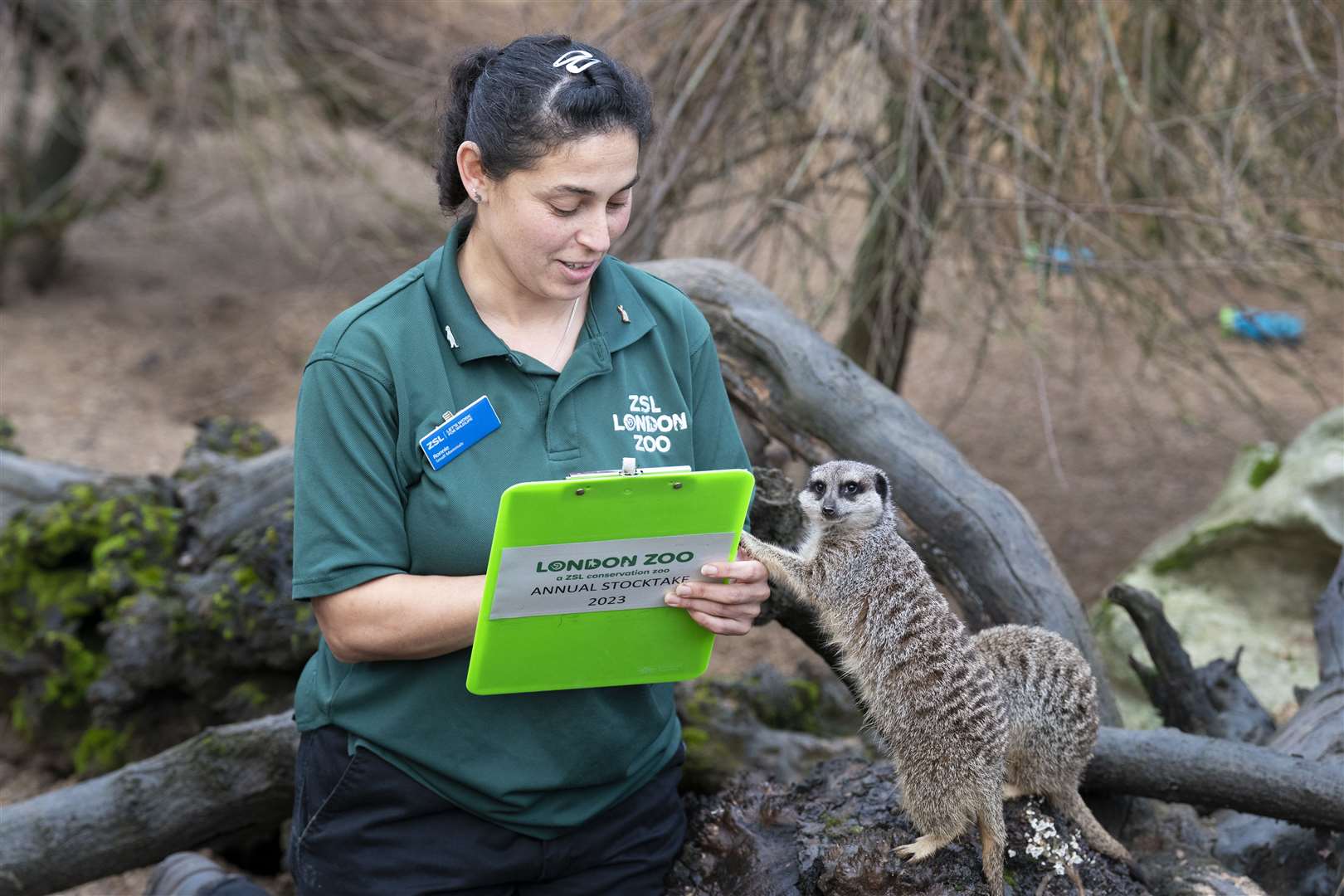 Meerkats made sure their names were on the list (Kirsty O’Connor/PA)