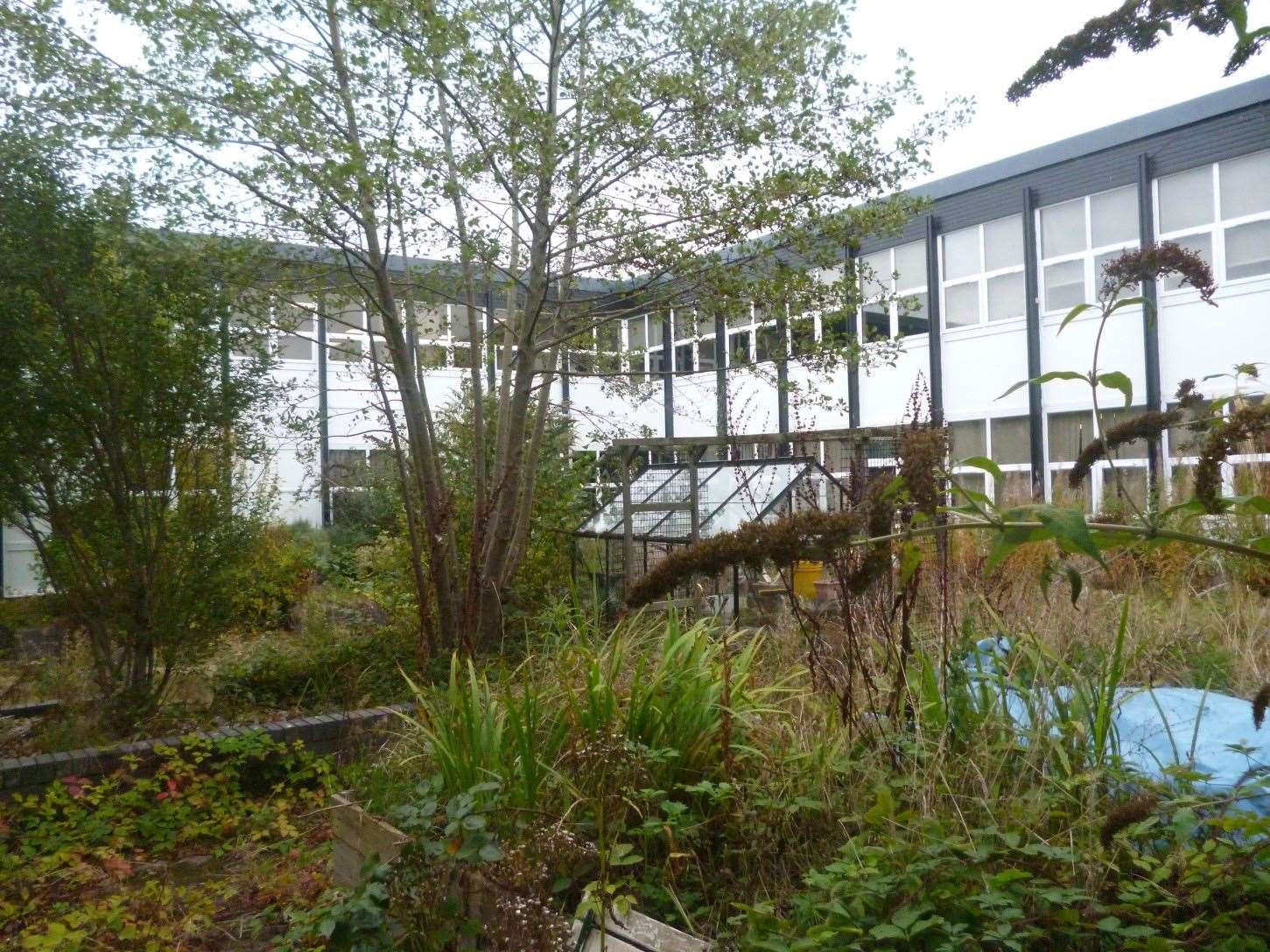 The centre of the school was completely overgrown before it was worked on.