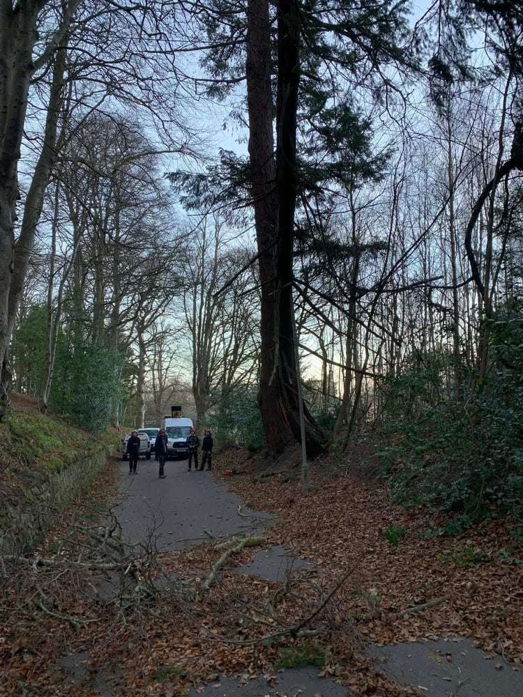 Moray Council employees dealing with a fallen tree on Clovesnside Road.