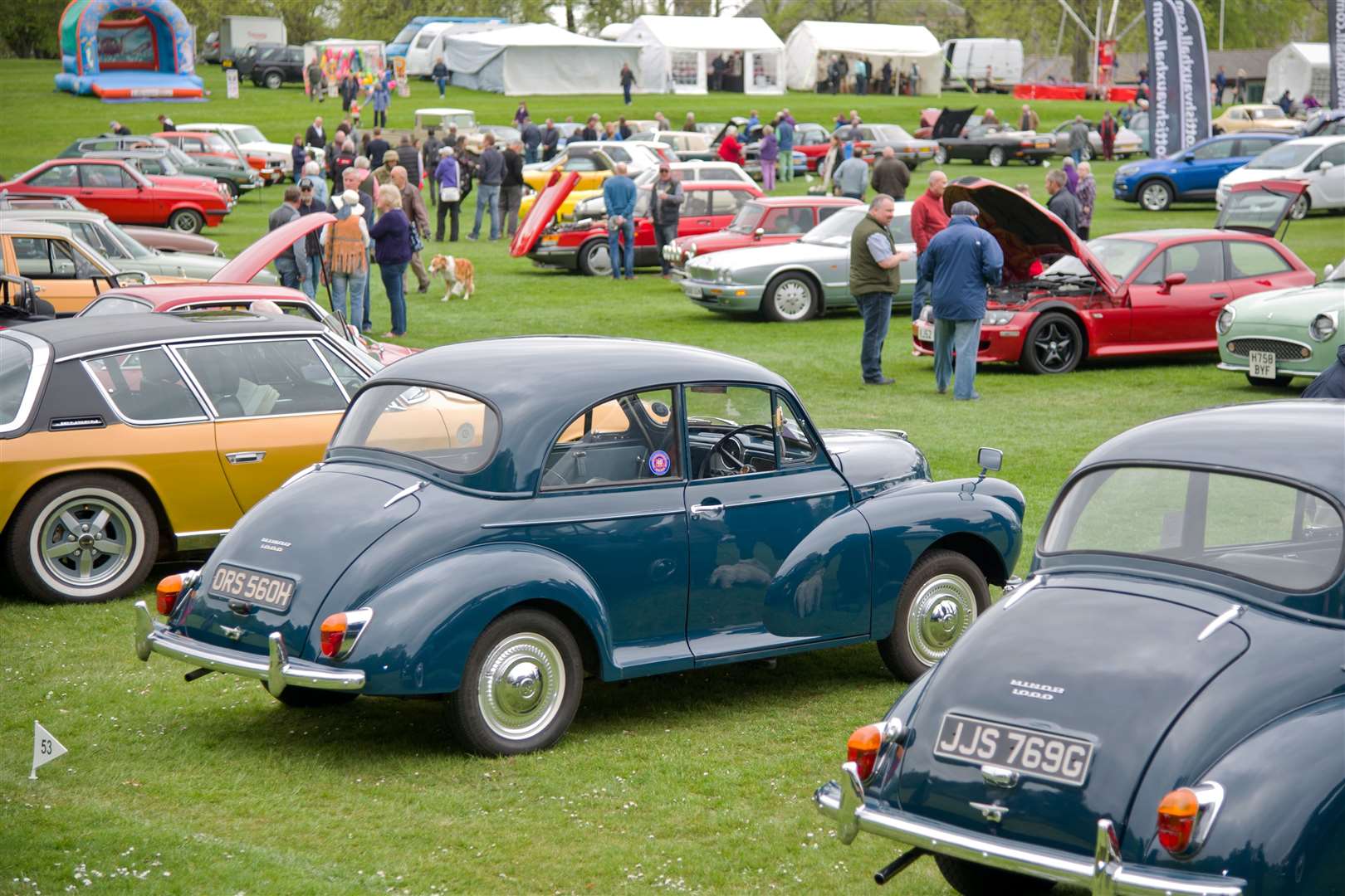 An array of classic cars.