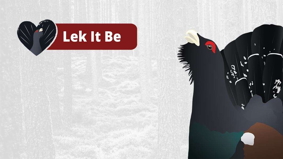A new campaign has been launched aimed at stopping disturbance to capercaillie during the breeding season in their Cairngorms stronghold.