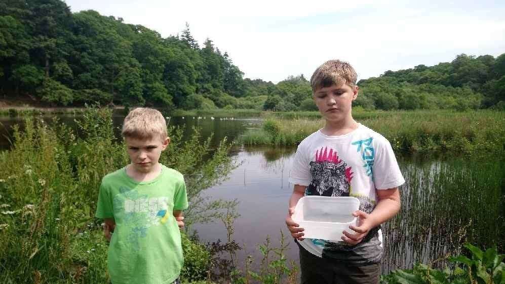 Alfie and Ellis Stalker managed to save two of the fish they found but were upset to see more die.