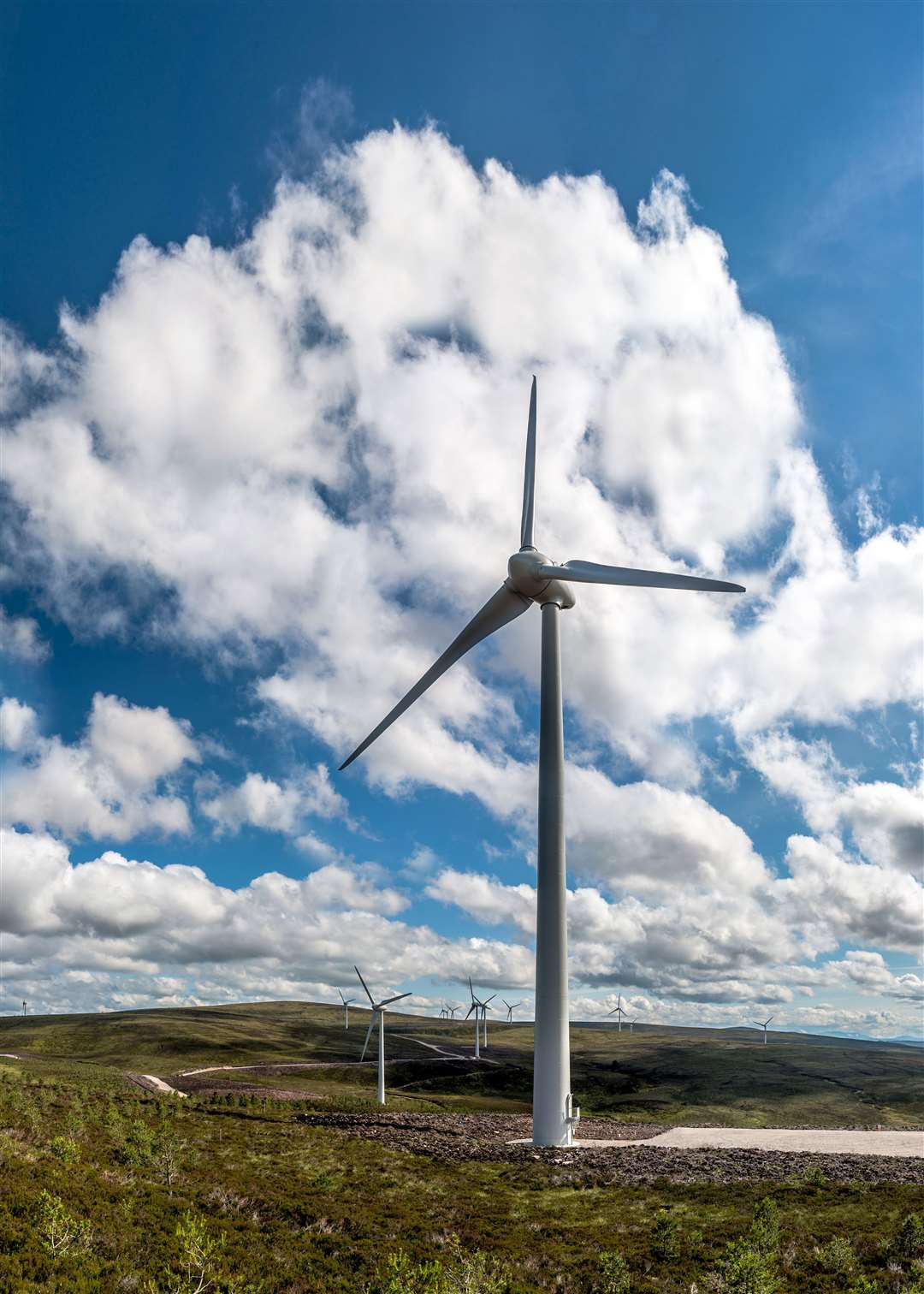 Existing turbines at the site.