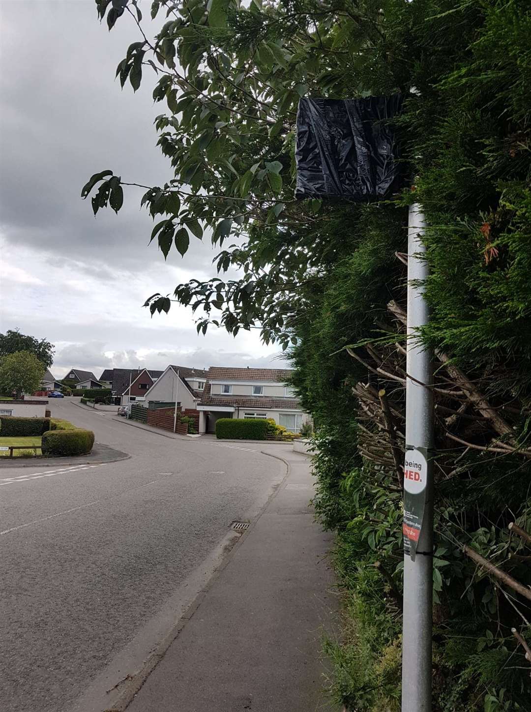 Bus stop signs throughout Forbeshill have been taped up since the service was removed.