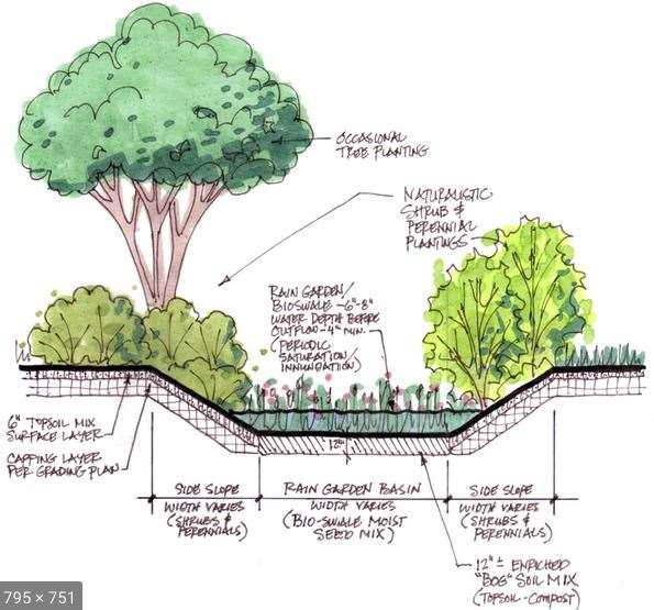 This is the planned design of the rain garden at Clovenside Cemetery.